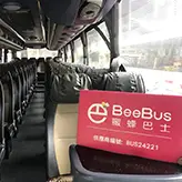 BeeBus旅遊巴車型